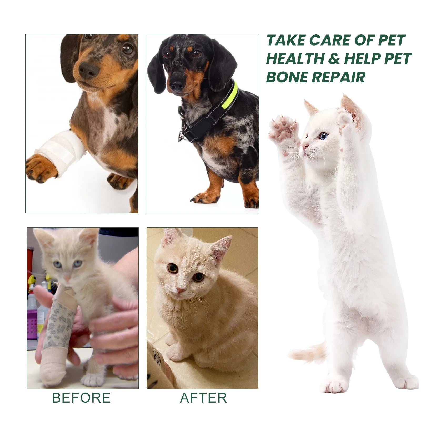 Dog Joint Care Drops Hip Joint Supplement Relieve Joint Discomfort Repair Bone Deformity Heal Arthritis Pet Bone Care Solution