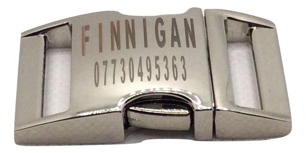 Finnigan's Whimsical Pooch Dog Collar Set