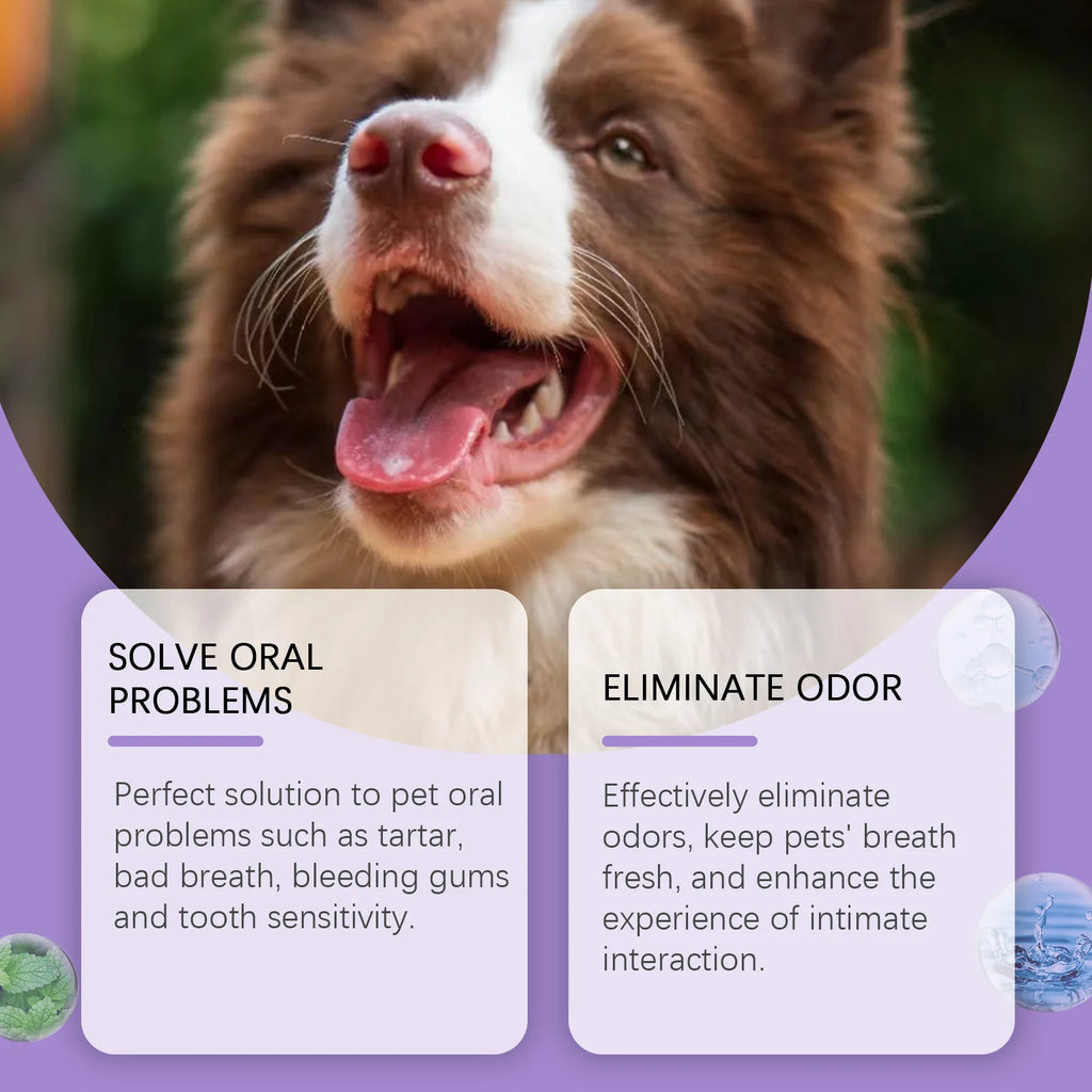 PetFresh Oral Care Drops for Dogs & Cats - Tartar & Breath Solution