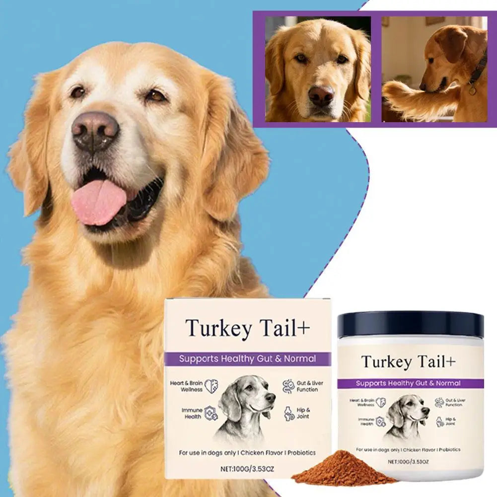 Dog Probiotic Intestinal Powder 100g Bacon Flavor Gut Health Supplement for Dogs Probiotics Digestive Support 3-Year Shelf Life