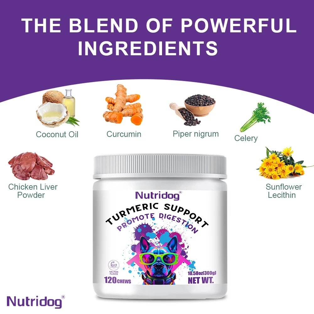 Golden Shield Curcumin Chews for Joint Health & Immunity