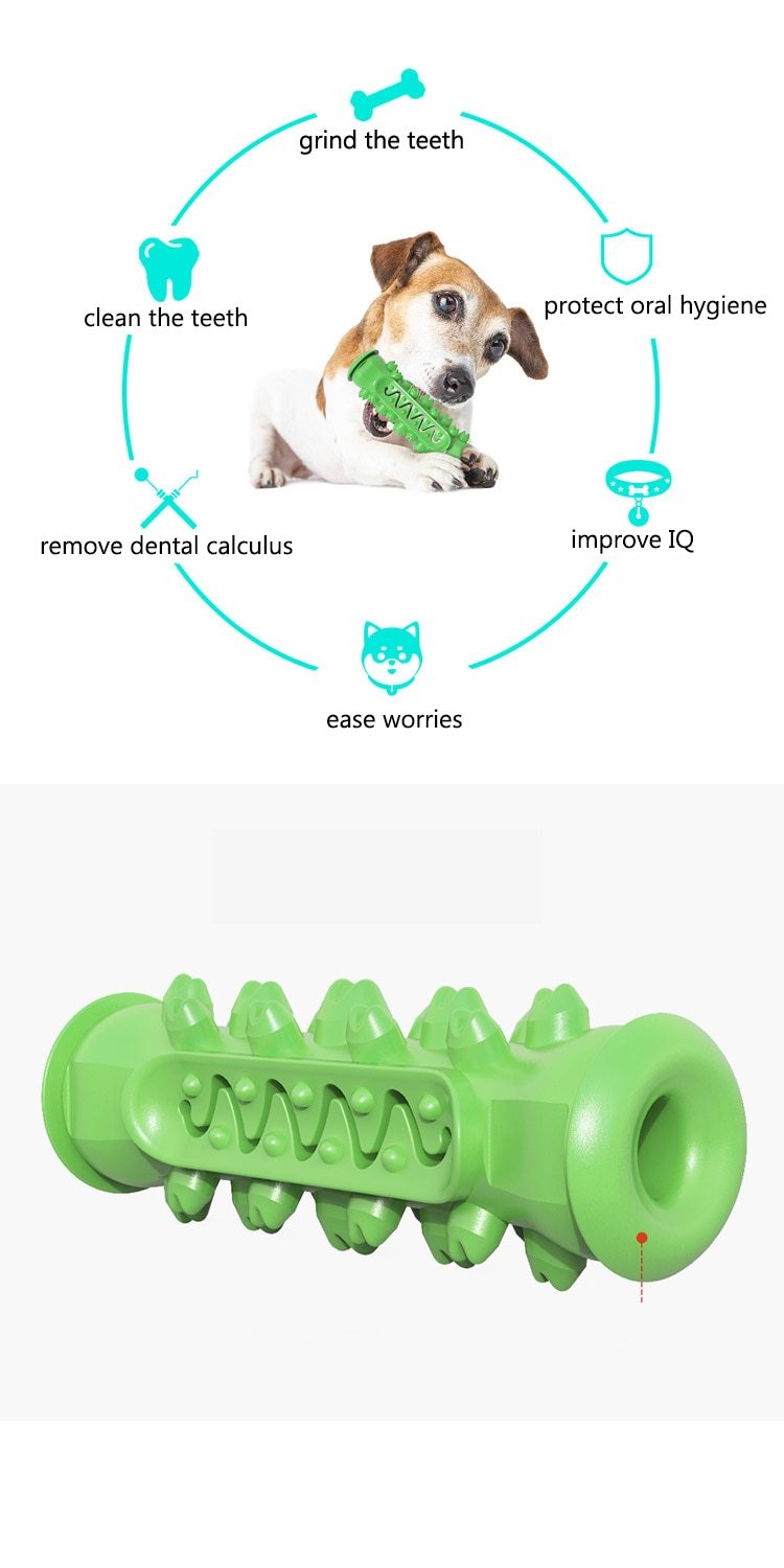 Dental Delight Rubber Dog Chew Toy - Blue, Green, Yellow